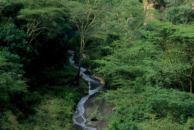 1 Day trip to Hells Gate and Lake Naivasha From Nairobi - Why Hell’s Gate makes a different kind of safari