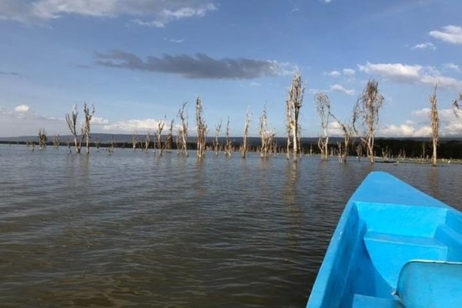 1 Day trip to Hells Gate and Lake Naivasha From Nairobi - Lunch, water, and what to pack