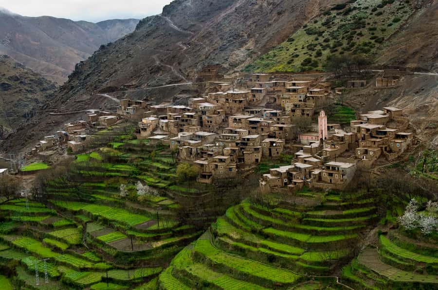 A Day With The Berbers - 3 Valleys Day Trip from Marrakech - From Marrakech medina to the Atlas foothills