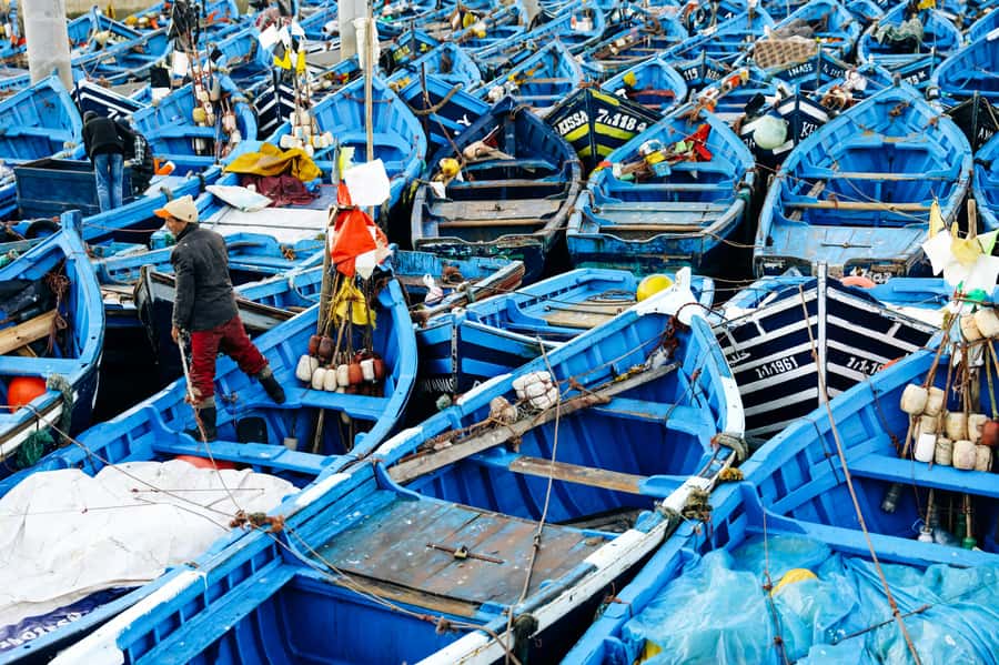 Agadir: Essaouira Guided Day Trip - Why Essaouira makes sense as a day trip from Agadir