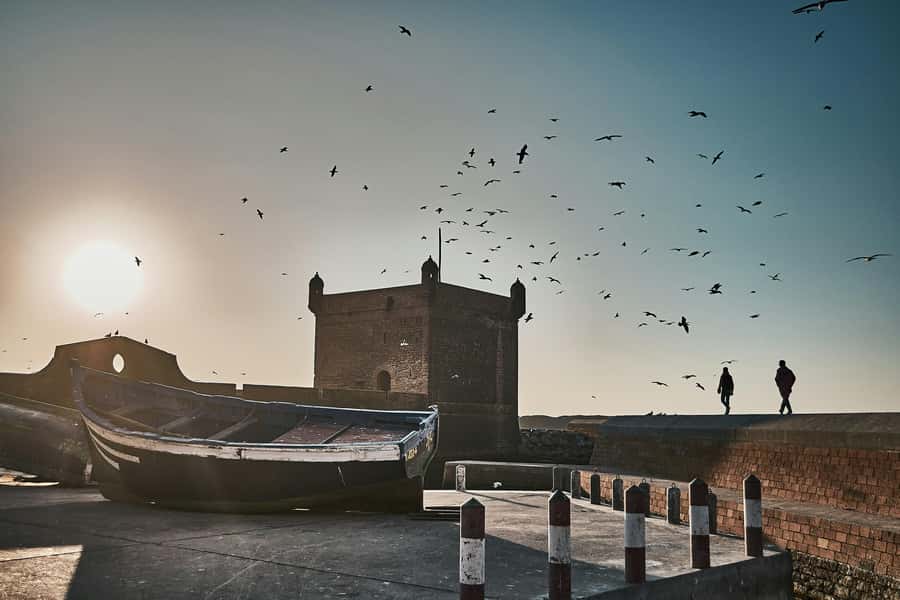 Agadir: Essaouira Guided Day Trip - Transport, timing, and comfort