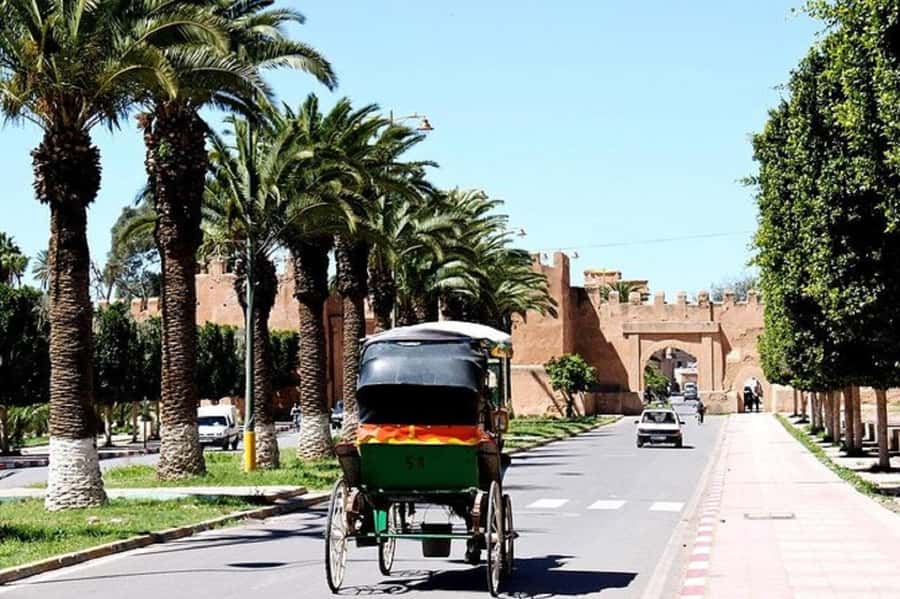 Agadir: Taroudant Oasis and Tiout Day Trip with Lunch Option - Lunch beside the Tiout Kasbah