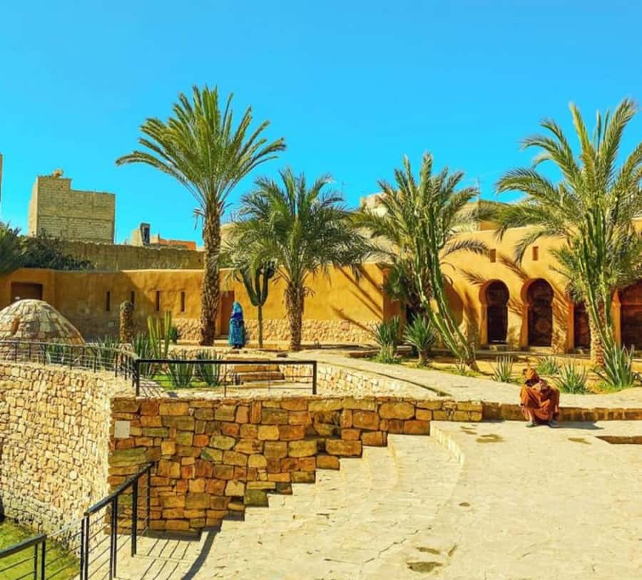 Agadir: Taroudant Oasis and Tiout Day Trip with Lunch Option - Guides, languages, and the human side of the day