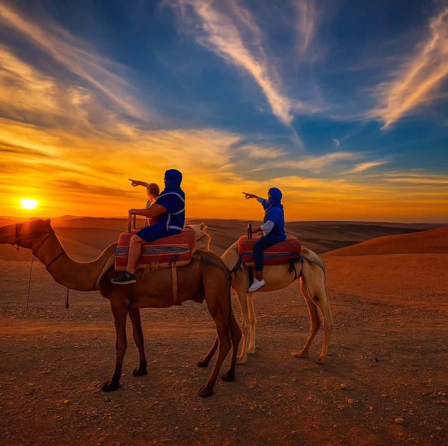 Agafay Desert & Atlas Mountain & Camel Ride Day Trip & Lunch - Key points at a glance