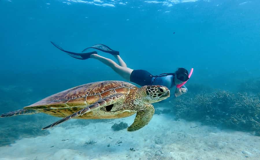 Agnes/1770: Southern Great Barrier Reef Snorkelling Day Trip - A useful 15-minute safety briefing