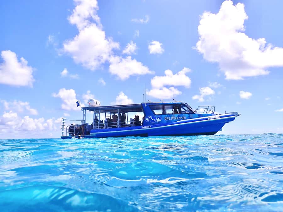 Agnes/1770: Southern Great Barrier Reef Snorkelling Day Trip - Leaving from the 1770 Marina