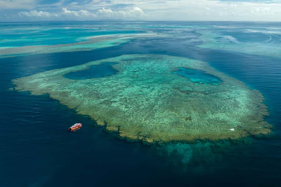 Airlie Beach: Outer Great Barrier Reef Snorkeling Day Trip - Is $211 per person good value?