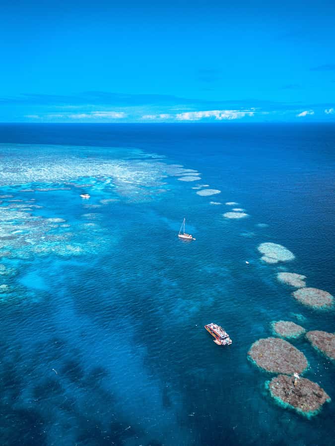 Airlie Beach: Outer Great Barrier Reef Snorkeling Day Trip - Who should book this Airlie Beach reef trip?