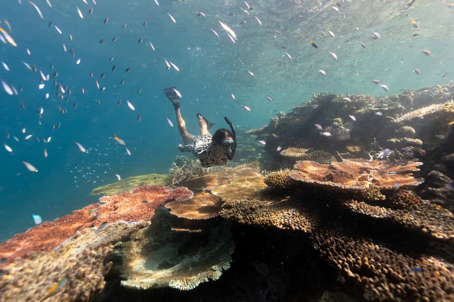 Airlie Beach: Outer Great Barrier Reef Snorkeling Day Trip - The catamaran ride and the Whitsunday views