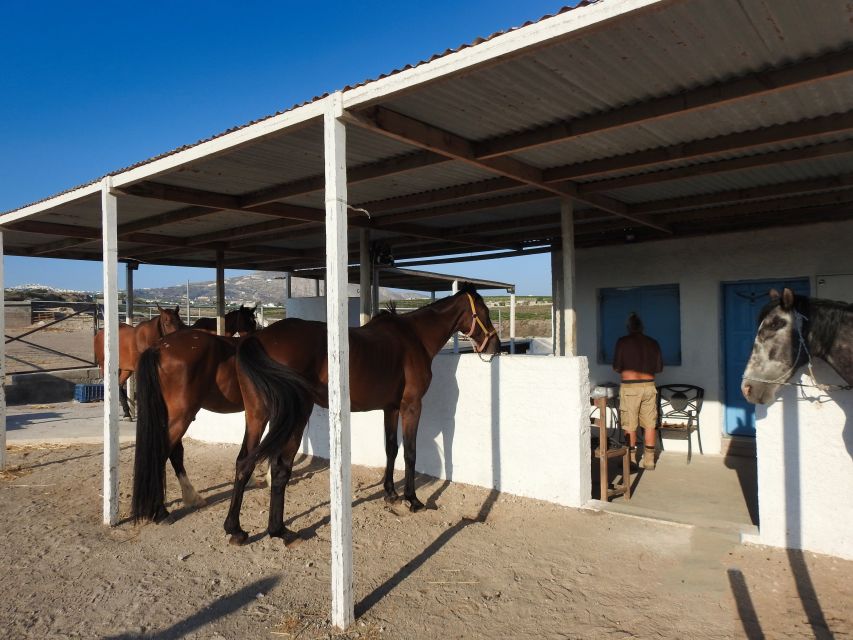 Akrotiri: Guided Horseback Riding Day Trip to a Beach - How this compares with a standard Santorini day