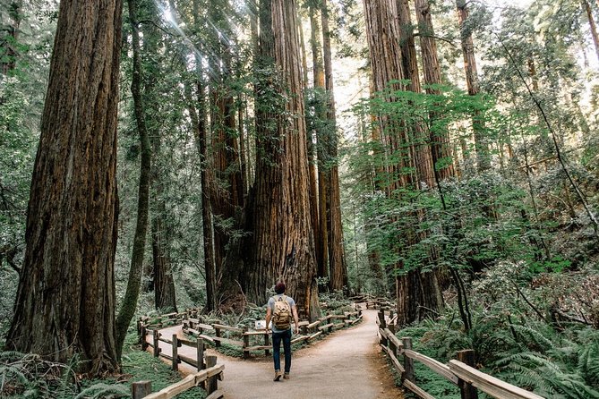 Alcatraz Tour Plus Muir Woods and Sausalito Day Trip - Muir Woods: 90 minutes beneath the redwoods