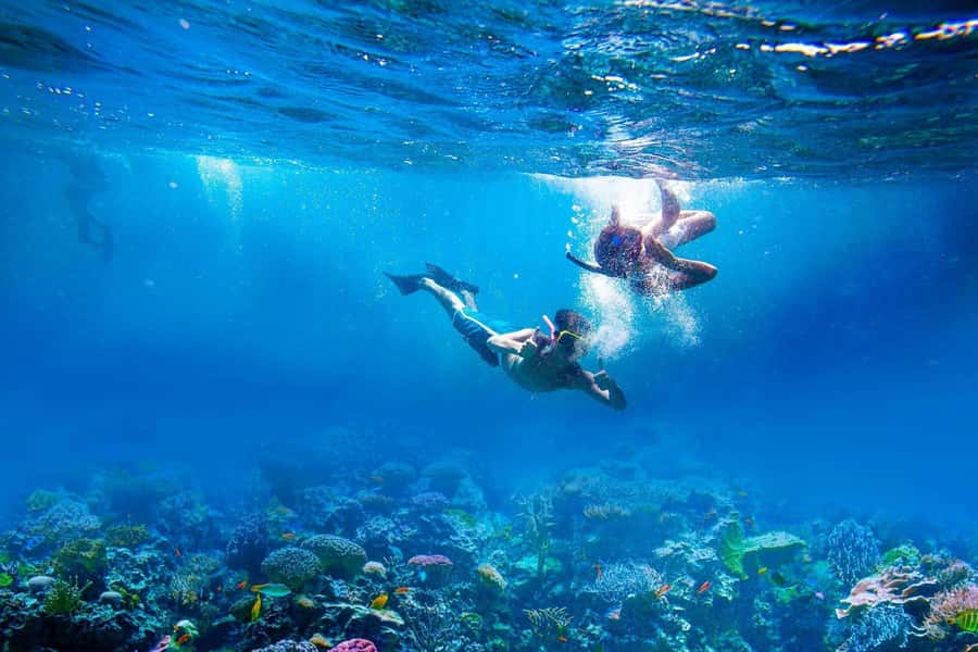 Amed: Tirta Gangga, Jemeluk Bay, & Virgin Beach Day Trip - Why this East Bali day trip works