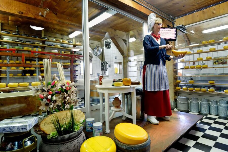 Amsterdam: Day Tour Keukenhof and Zaanse Schans Windmills - The 45-minute transfer to Keukenhof