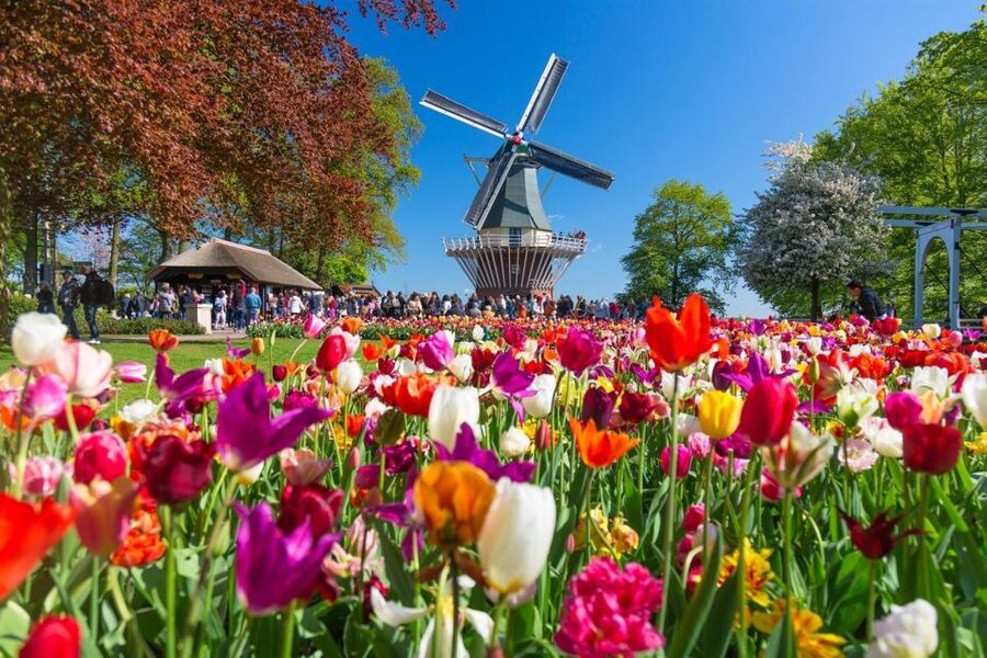 Amsterdam: Day Tour Keukenhof and Zaanse Schans Windmills - Self-guided does not mean unsupported