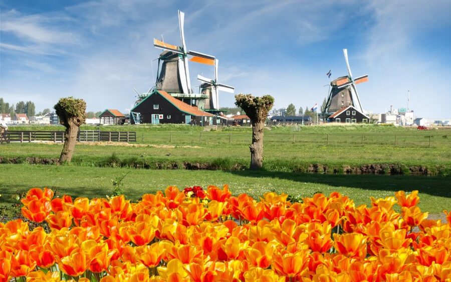 Amsterdam: Day Tour Keukenhof and Zaanse Schans Windmills - Small details that make the day easier