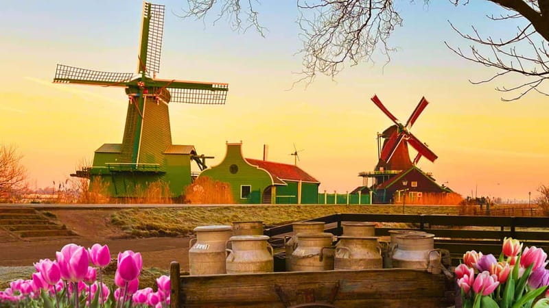 Amsterdam: Giethoorn & Zaanse Schans Small Group Day Trip - Cheese tasting that is more than a quick sample