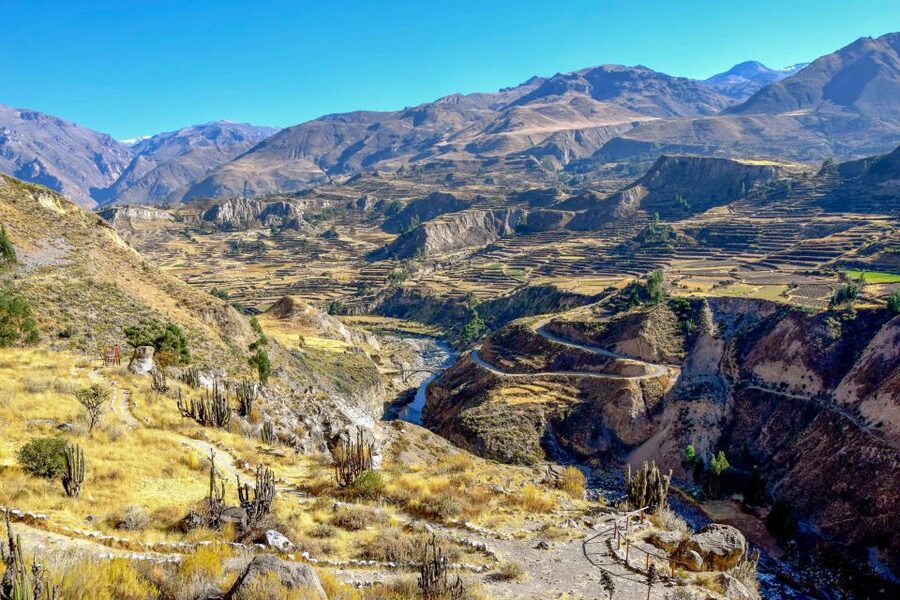 Andes: Colca Canyon Day-Trip - Maca Village and a working Andean morning