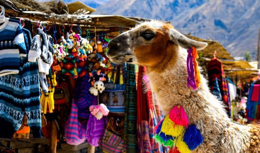 Andes: Colca Canyon Day-Trip - Chivay market, lunch, and free time