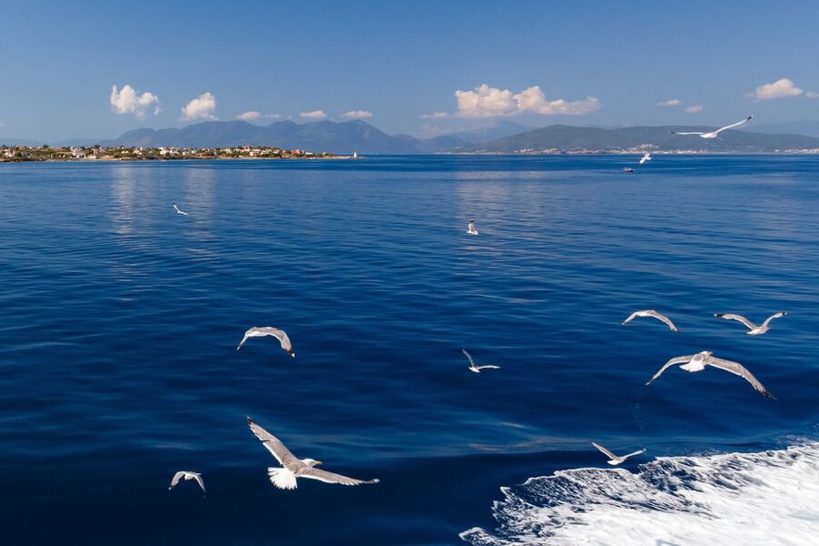 Athens: Guided Day Trip to Aegina Island with Swimming - Transport, pace, and who will enjoy this most