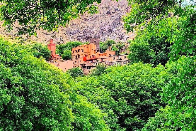 Atlas Mountains & Ourika Valley Private Day Trip From Marrakech - Drivers and guides can shape the whole day