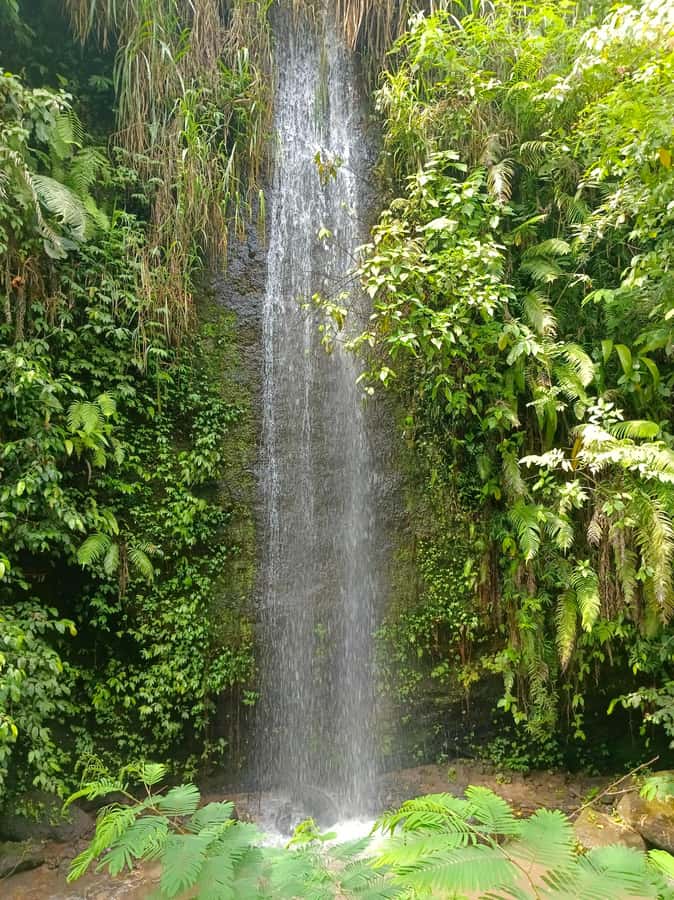 Bali : Day Trip to Besakih Temple & 2 Hidden Waterfalls - Besakih Temple, Bali’s largest temple complex