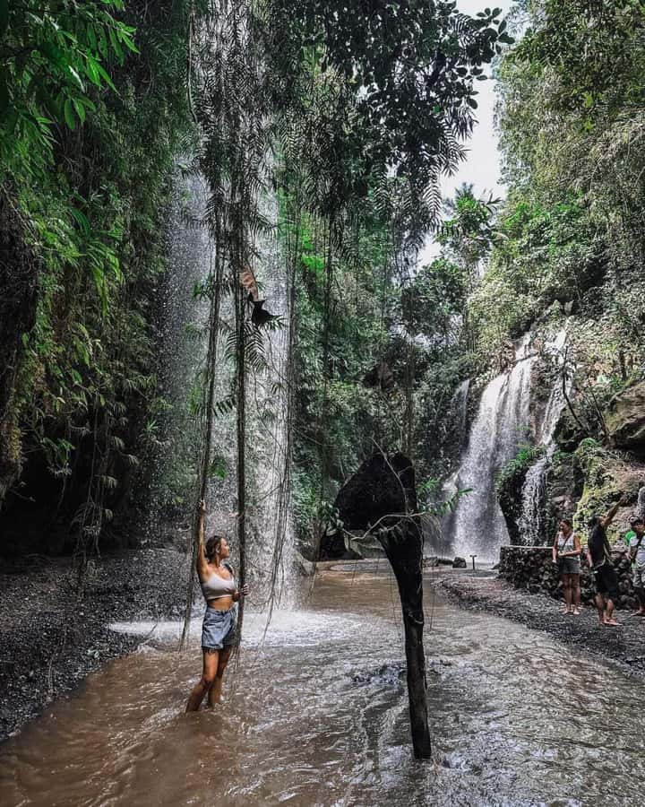 Bali : Day Trip to Besakih Temple & 2 Hidden Waterfalls - Why the private car matters