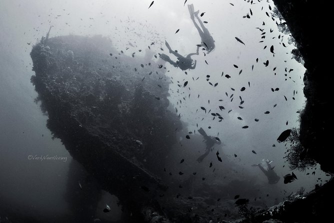 Bali Diving Day Trip-Manta Point/Tulamben Shipwreck-Fun Dive - Why the USAT Liberty works so well for beginners