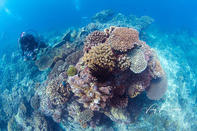 Bali Diving Day Trip-Manta Point/Tulamben Shipwreck-Fun Dive - Entering the water at Tulamben