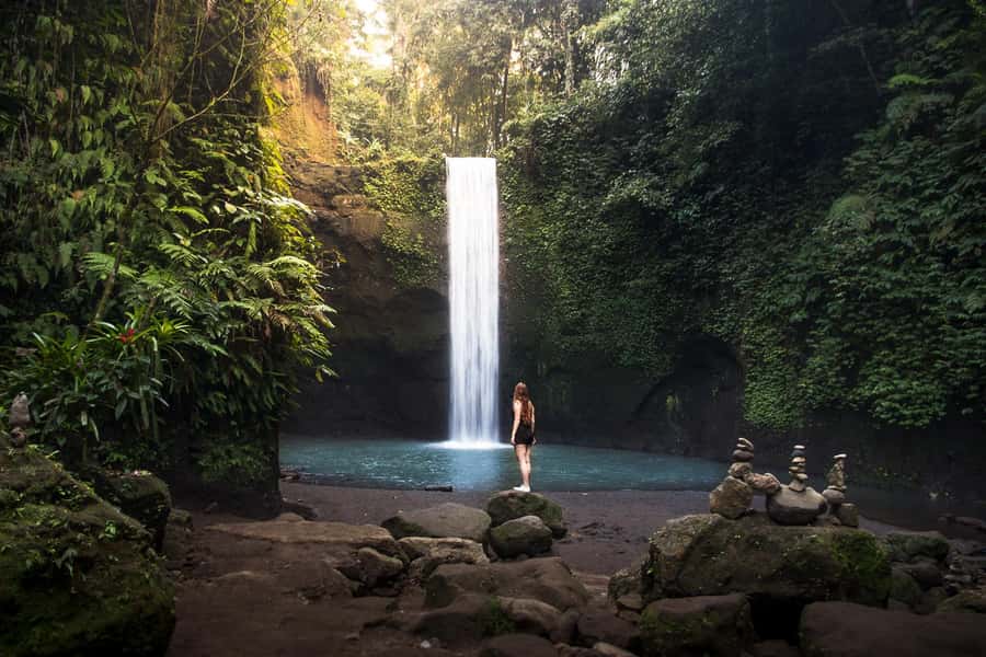 Bali: Full-Day Trip to Penglipuran Village and Bamboo Forest - Key points at a glance