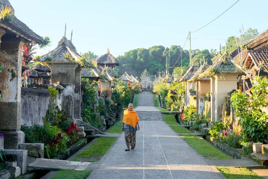 Bali: Full-Day Trip to Penglipuran Village and Bamboo Forest - Penglipuran Village and its traditional layout