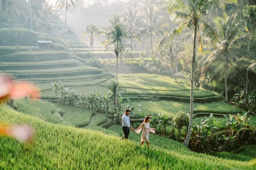 Bali: Full-Day Trip to Penglipuran Village and Bamboo Forest - Tibumana Waterfall and the natural pools