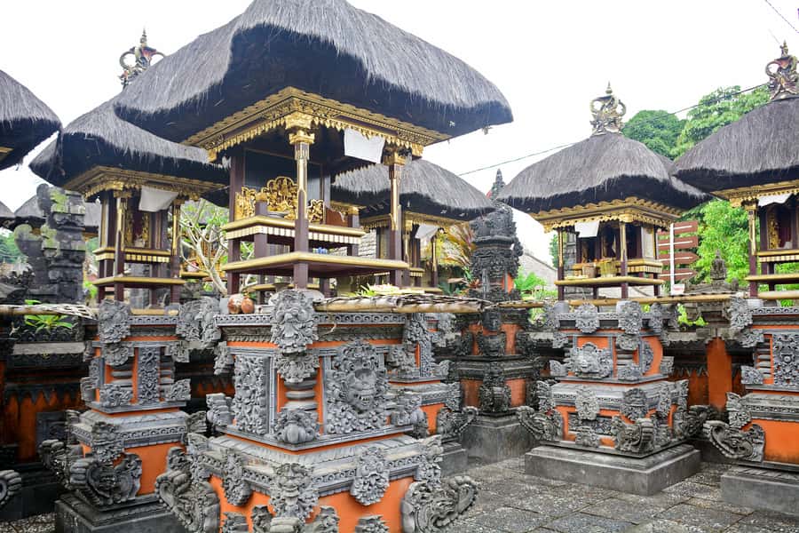 Bali: Full-Day Trip to Penglipuran Village and Bamboo Forest - The guide is the main variable