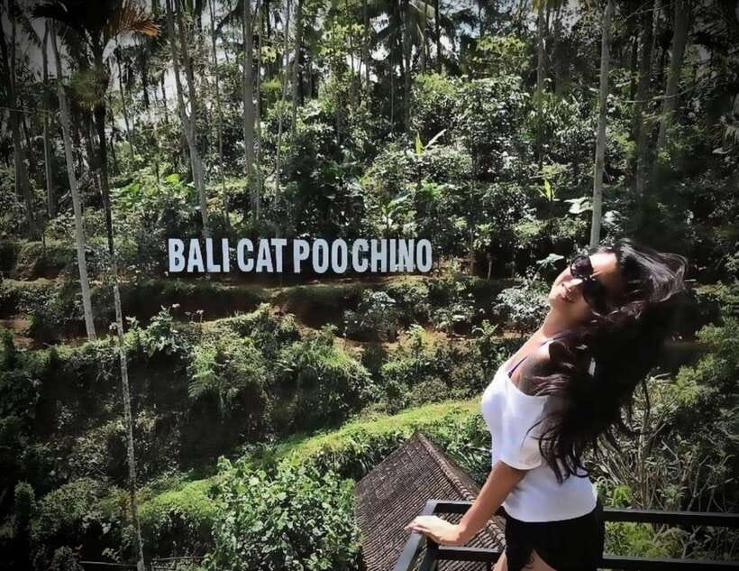 Bali: Private Full day trip Customizable tour - Photos, queues, and the small details that matter