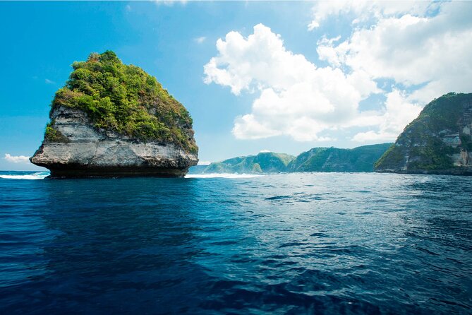 Bali Reef Cruise and Lembongan Island Day Trip - Coral viewing, the underwater chamber, and paid upgrades