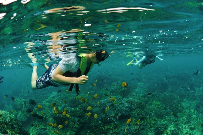Bali Reef Cruise and Lembongan Island Day Trip - Who will get the best value