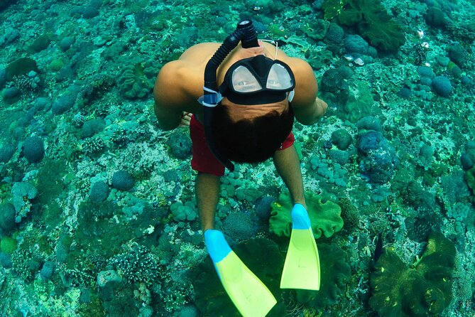 Bali Reef Cruise and Lembongan Island Day Trip - The private pontoon and its water activities