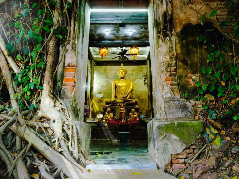 Bangkok: Maeklong Railway & Amphawa Floating Market Day Trip - Why this Bangkok day trip works