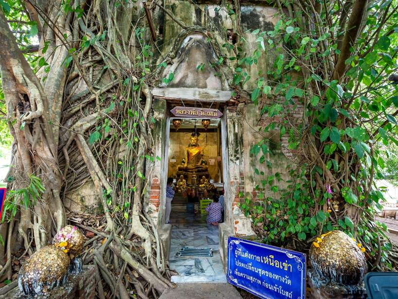 Bangkok: Maeklong Railway & Amphawa Floating Market Day Trip - Is $49 good value?