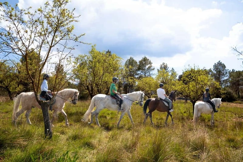 Barcelona: Walking and Horse Riding Day-Trip in Montserrat - The 50-minute walk through the national park
