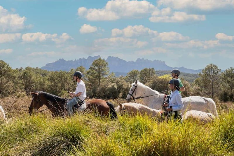 Barcelona: Walking and Horse Riding Day-Trip in Montserrat - What the scenery feels like from horseback
