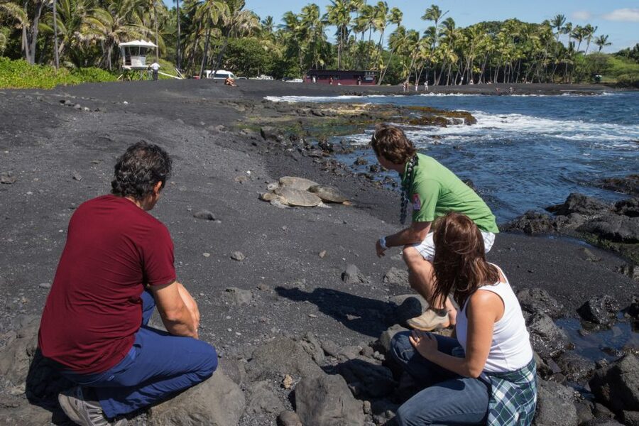 Big Island: Volcanoes, Waterfalls, & Coffee Farm Day-Trip - Akaka Falls brings you into the rainforest