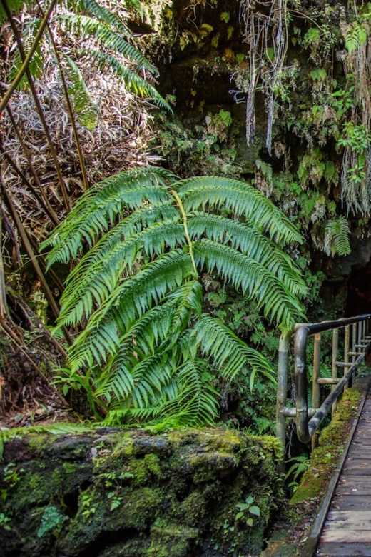 Big Island: Volcanoes, Waterfalls, & Coffee Farm Day-Trip - Rainbow Falls adds a quick waterfall stop