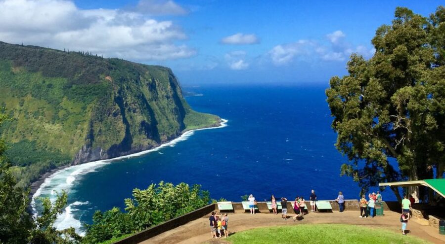 Big Island: Volcanoes, Waterfalls, & Coffee Farm Day-Trip - Punalu’u Black Sand Beach and the chance to see turtles