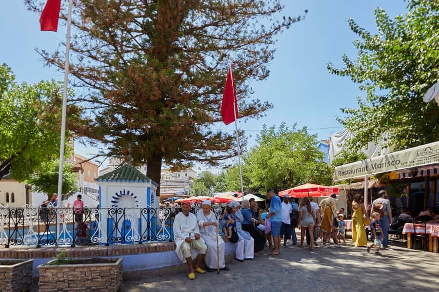 Blue City magic: Affordable Day Trip from Fez to Chefchaouen - Key points before you book