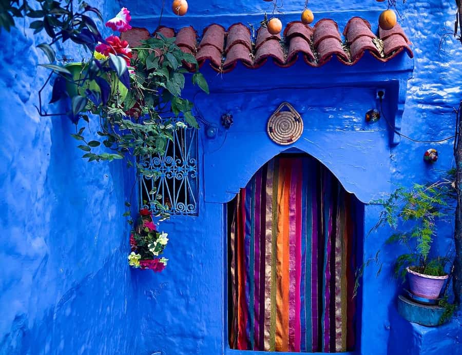 Blue City magic: Affordable Day Trip from Fez to Chefchaouen - Why this $22 day trip makes sense