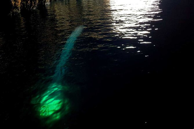 Blue & Green Cave Vis Island and Pakleni Islands Private Day Trip from Hvar - Josko’s local knowledge shapes the day
