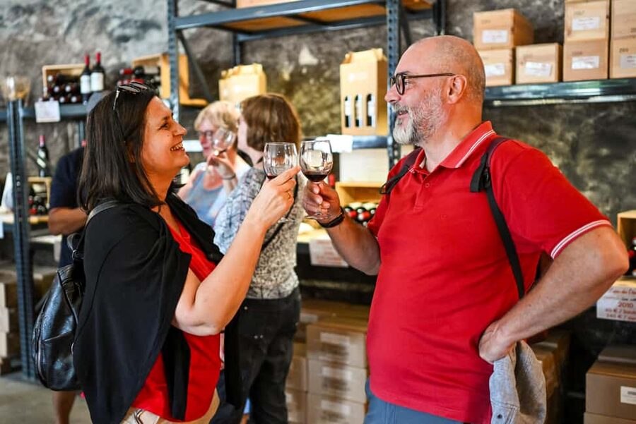 Bordeaux: Vineyards Wine Tasting Half-Day Trip - Graves, Sauternes, and Entre-deux-Mers