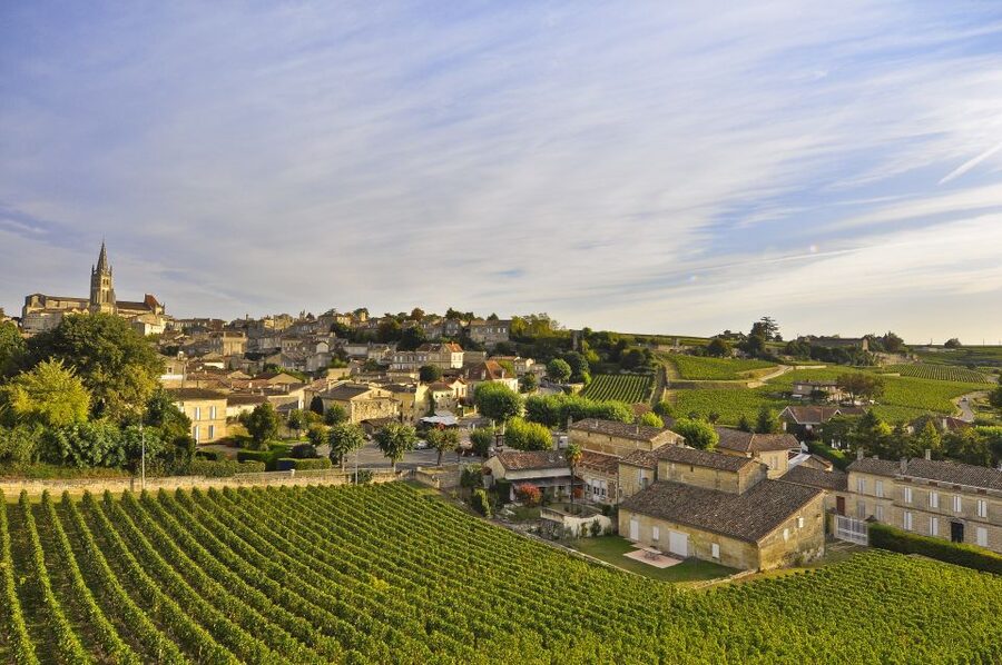 Bordeaux: Vineyards Wine Tasting Half-Day Trip - What the wine tastings are really like