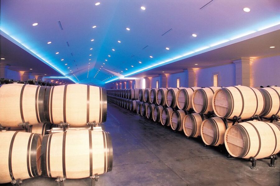 Bordeaux: Vineyards Wine Tasting Half-Day Trip - Who will enjoy this half-day tour?