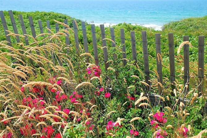 Boston to Martha's Vineyard Day Trip with Optional Island Tour - Edgartown free time and eating on the island